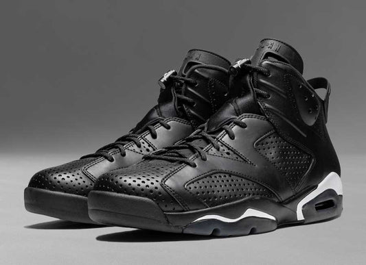Jordan 6 "Black cat"