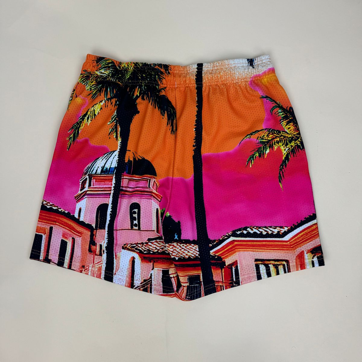 Dry Rot Mesh Short "Stash House"